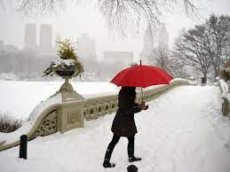 Nyc Weather Blizzard Conditions 18 Inches Of Snow Forecast New York City Ny Patch