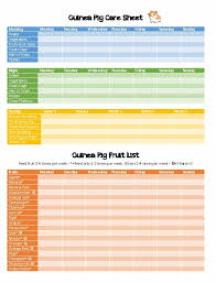 Guinea Pig Food Chart Pdf Guinea Pig Food Chart