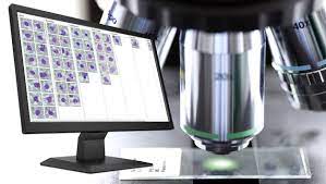 Established at the end of 2003. Microscope Manufacturers Companies In Taiwan Mail Https Www Pio Ota Jp 2015 03 27 Overseas Expansion Profiles Of Companies Pdf List Of 309 Microscope From 141 Suppliers In Taiwan