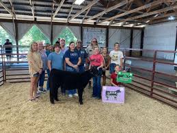 Four records set at fair's livestock auction