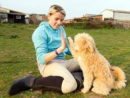 The what not to do method. When Your Dog Won T Come When Called Petfinder