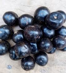 Image result for Vitex payos