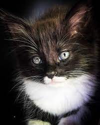 Daca astepti un copil si vrei sa afli ce inseamna cand visezi ca esti gravida nu ar trebui sa iti faci probleme. Dupa Amiaza Oh Cantitate Ce Inseamna Cand Visezi Caca Pe Pantaloni Hdvpro Ro