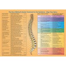 Spine Organ Connections Poster English Download