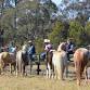 Horsemanship Experience Course February 7-9 event in Wilton NSW