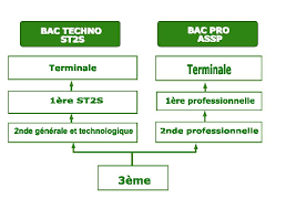 Combien coûte la formation d'aide. Academie De Nantes Sante Social