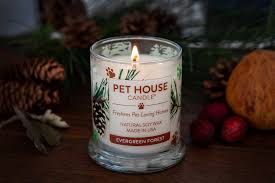 Popular pet house square of good quality and at affordable prices you can buy on aliexpress. One Fur All Pet House Candles Home Facebook