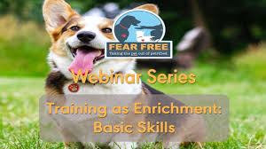 Time to complete this education training ranges from 2 hours to 2 months depending on the. Webinars Fear Free Pets
