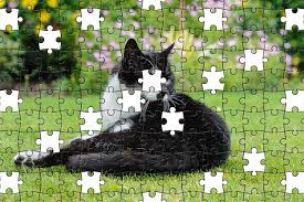 Get all smal parts on the original place and voila, the puzzle is solved. Puzzle Games Blog Free Jigsaw Puzzle Online Cat 661
