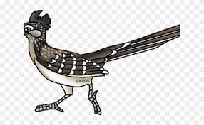 Maybe you would like to learn more about one of these? Roadrunner Cliparts New Mexico Roadrunner Free Transparent Png Clipart Images Download