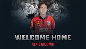 Adorable wallpapers > man made > newcastle united wallpaper (39 wallpapers). Goodwin Returns Home To Reds Adelaide United