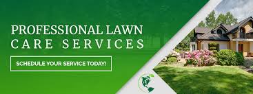 We did not find results for: Winter Lawn Care Protect Your Lawn This Winter Swazy Alexander Landscaping