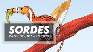 Image result for Dinophora spenneroides