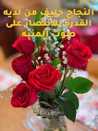 pin by أسيرة on أغراض تستحق الشراء plants