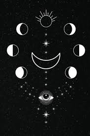 Astrology Natal Chart Notebook Organizer For Blank Star Birth Charts Beginner S Basic Natal Chart Interpretation Of Houses And Signs Log 100 Book Journal Natal Chart Notebooks The Journal Folks 9798613985531 Amazon Com Books