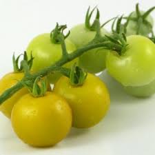 Optimum temperatures for growing tomatoes are between 80 and 85 degrees f. Louisiana Gulf State Heritage Seed Market