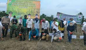 Anjuran pejabat daerah dan tanah bera telah di sambut meriah dengan bertemakan ''malaysia… bagi penyampaian anugerah kik dan sijil telah dimenangi oleh kumpulan olive dari pejabat daerah dan tanah bera. Antisipasi Kelangkaan Pangan Bupati Kampar Ajak Kades Dan Masyarakat Garap Lahan Tidur Cakaplah Berpikir Berbuat Bercakap