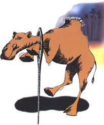 Studies also indicate that a women use a higher pitch around men they are attracted to, so it might be that her voice got higher when she was addressing him rather than just talking about him. Again I Tell You It Is Easier For A Camel To Go Through The Eye Of A Needle Than For Someone Who Is Rich To Enter The Kingdom Of God Mathew