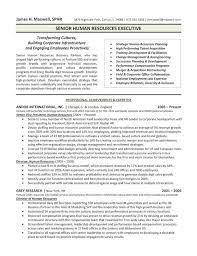 The Top 4 Executive Resume Examples Written By A Professional Recruiter Executive Resume Executive Resume Template Resume Examples