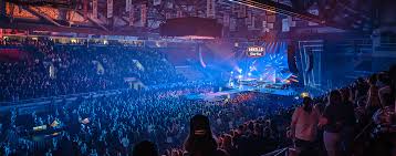 IRL (Irish Real Life) Festival Presents