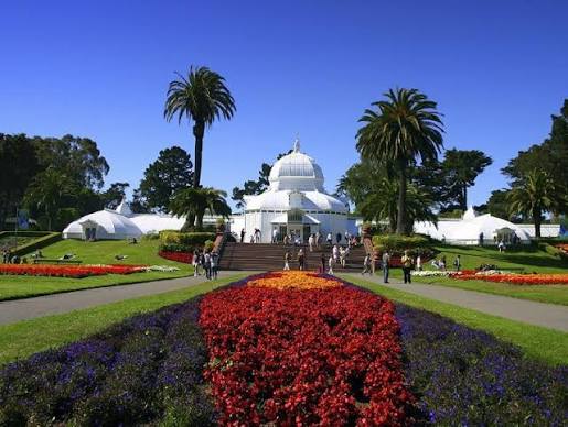 Explore Golden Gate Park, San Francisco | California travel inspiration