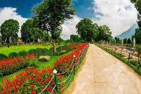 The best 5 flower gardens of India | FNP