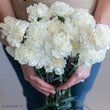 If you're looking for unique and beautiful wholesale flowers to serve as wedding decorations, or just want to give any event a light, joyful atmosphere, consider ordering hydrangeas in bulk for your floral arrangements. White Carnations Bulk Fresh Diy Wedding Flowers Flower Moxie
