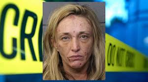 Mom accused of leaving son in car near drugs while breaking into house