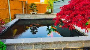 New for 2021, bergen water gardens is excited to offer a limited number of tamasaba goldfish from japan. Beautiful Modern Koi Pond And Garden Youtube