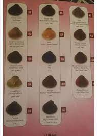 We did not find results for: Salon Miral Catalogue Laureate Facebook