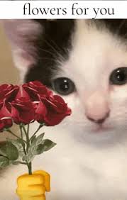 Image result for tbn:ANd9GcQzWo5lBIPWKebvy1oRkgh5c-dE8XiN3VXZR7m1YtZmdakAs_N-Mhco6w:http://www.cqham.ru/flower.gif