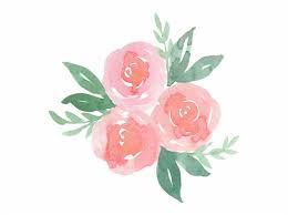Scrose Rose Cute Aesthetic Pastel Pretty Flower Pastel Pink Flowers Png Transparent Png Is A Flower Aesthetic Floral Wallpaper Phone Pastel Aesthetic
