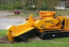 Tree removal, stump grinding, branch trimming Albany Tree Property Service Tree Removal Trimming Cutting More In New York S Capital District