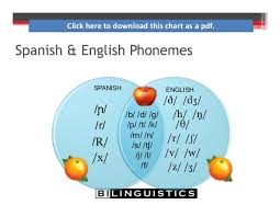 Difference Vs Disorder Speech Development In Culturally