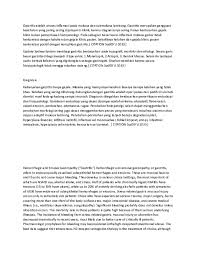 Karena jerawat disebabkan bakteri, banyak yang beranggapan tak ada makanan penyebab jerawat. Doc Gastritis Tinpus Ayu Natalia Academia Edu