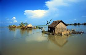Ultra hd wallpapers 4k, 5k and 8k backgrounds for desktop and mobile. Bangladesh Wallpapers Wallpaper Cave