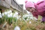 We did not find results for: Tomasz Wasilewski Artykuly Polska Times