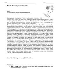Protein Synthesis Simulation Activity