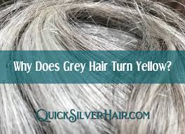 Acure ionic blonde color wellness purple shampoo. Why Does Gray Hair Turn Yellow Causes Solutions Quicksilverhair