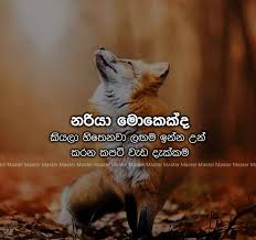 Check spelling or type a new query. 45 Sinhala Quotes Ideas Quotes Love Quotes Friends Quotes