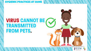 Maybe you would like to learn more about one of these? Covid19 Hygienic Practices At Home Youtube