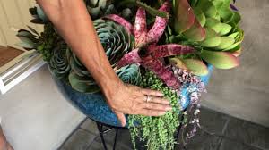 The first step is to decide on a color that you want to focus on for the arrangement, for example, pink or blue. Potted Succulent Arrangements Youtube