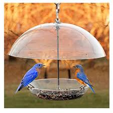 Adding a top above your feeder repels rain from the feeding ports, keeping seed clean and fresh. Nabbfdr Dome Top Seed Bluebird Bird Feeder Walmart Com Walmart Com