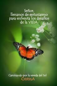 Senor Visitame En Mi Pagina Https Www Facebook Com Pages Caminando Por La Vereda Del Sol 295731910617292 Fotos De Animales Imagenes Fotografia De Naturaleza