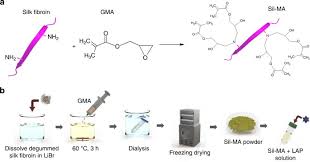 Our gift cards have no additional processing fees. Precisely Printable And Biocompatible Silk Fibroin Bioink For Digital Light Processing 3d Printing Nature Communications