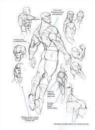 Pin By G Rumpy On Comic Art Influences Figure Drawing Anatomy Sketches Human Figure Drawing