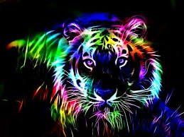 You can get the coloring pages of these animals here with no charge. Hintergrundbilder Neon Tiere Tier Coole Hintergrundbilder Novocom Top