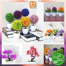 Check spelling or type a new query. Bunga Plastik Harga Terbaik Perlengkapan Rumah Agustus 2021 Shopee Indonesia