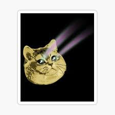 Cats are super cute and funny. Funny Cat Memes Clean Gifts Merchandise Redbubble