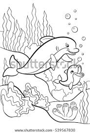 Harbor porpoise on the move! Shutterstock Puzzlepix